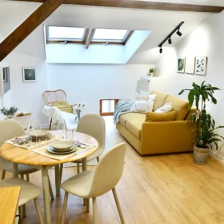 Comfy Loft Near Wawel